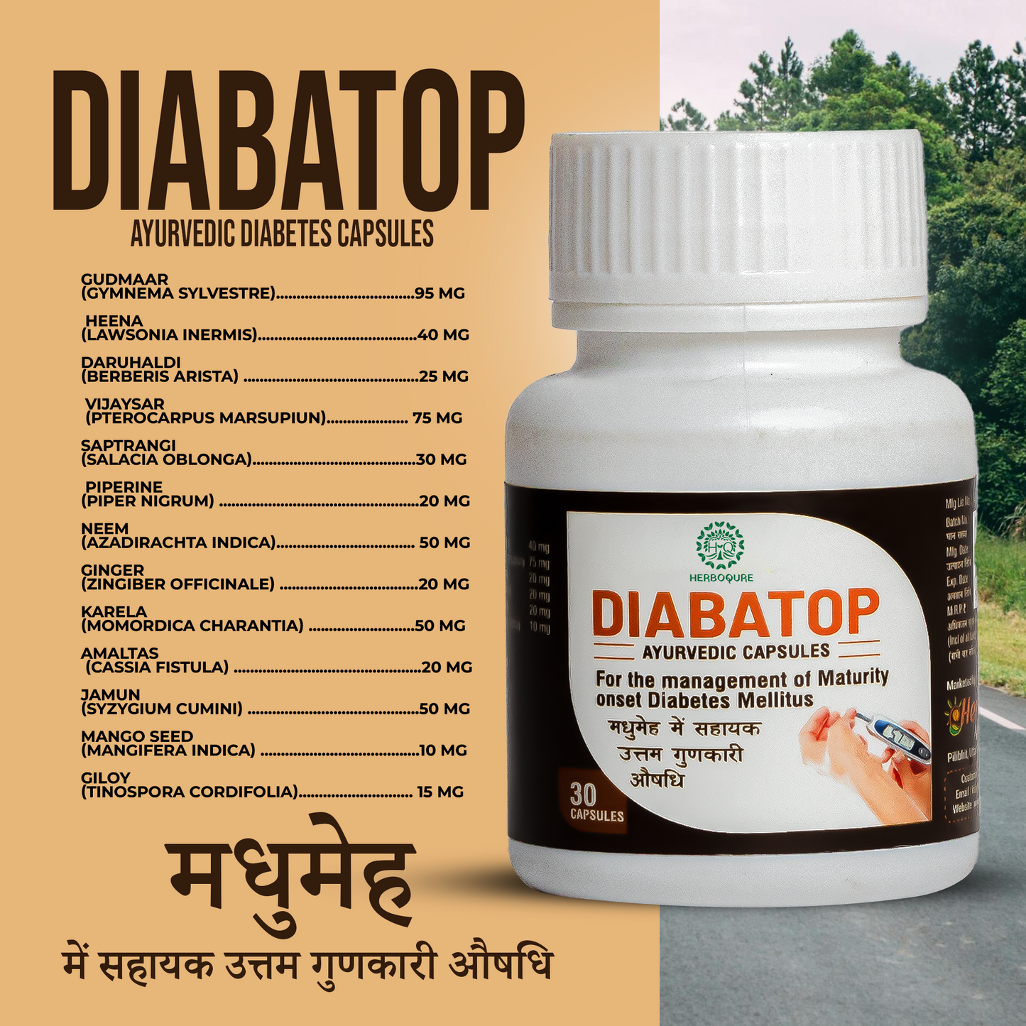 Diabatop - Ayurvedic Capsules for Healthy Blood Sugar Levels