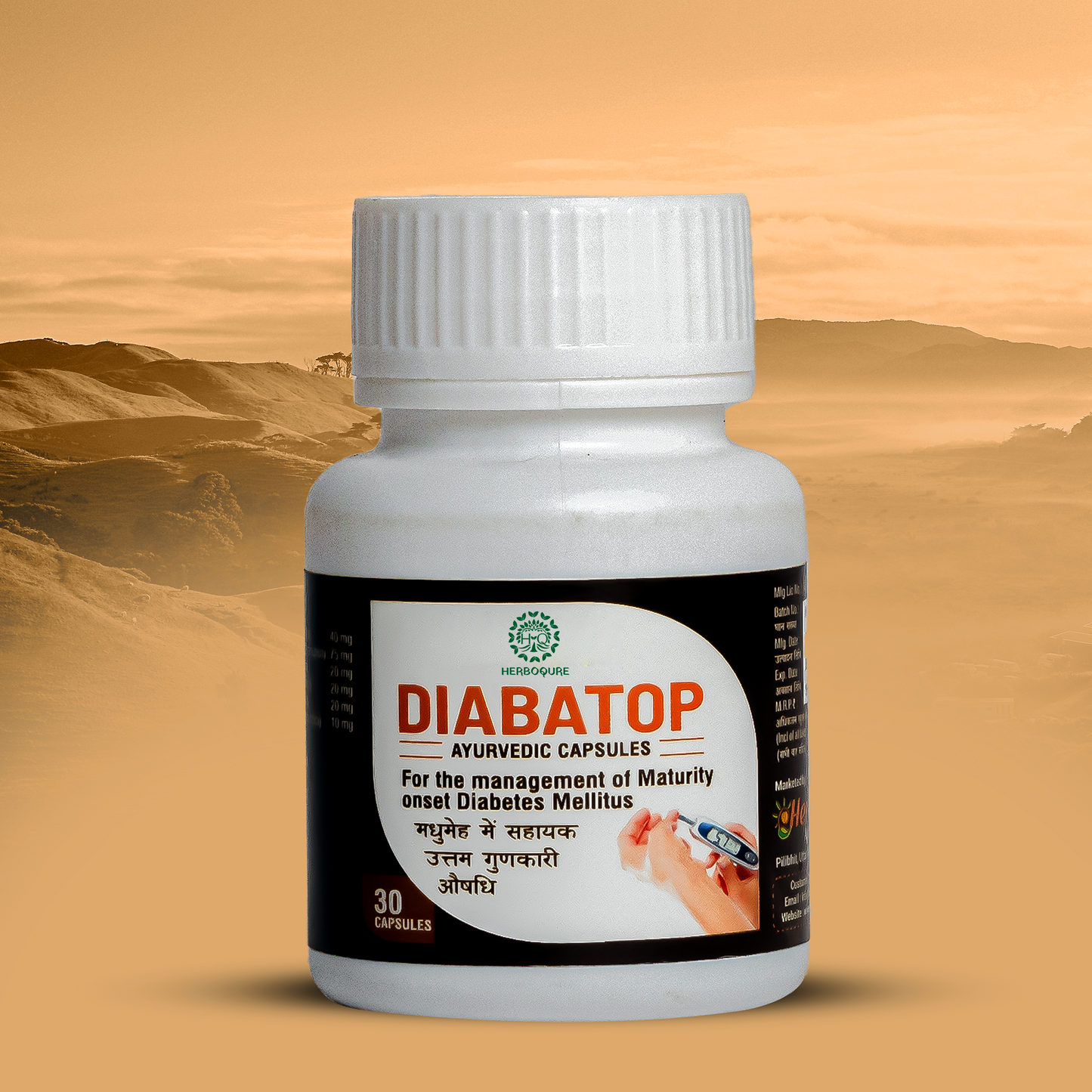 Diabatop - Ayurvedic Capsules for Healthy Blood Sugar Levels