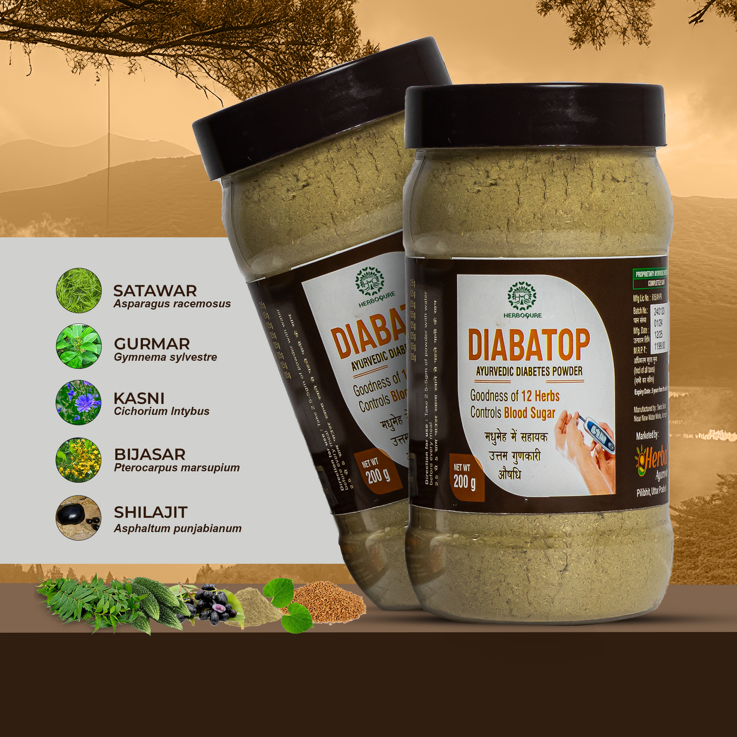 Diabatop - Ayurvedic Powder for Healthy Blood Sugar Levels